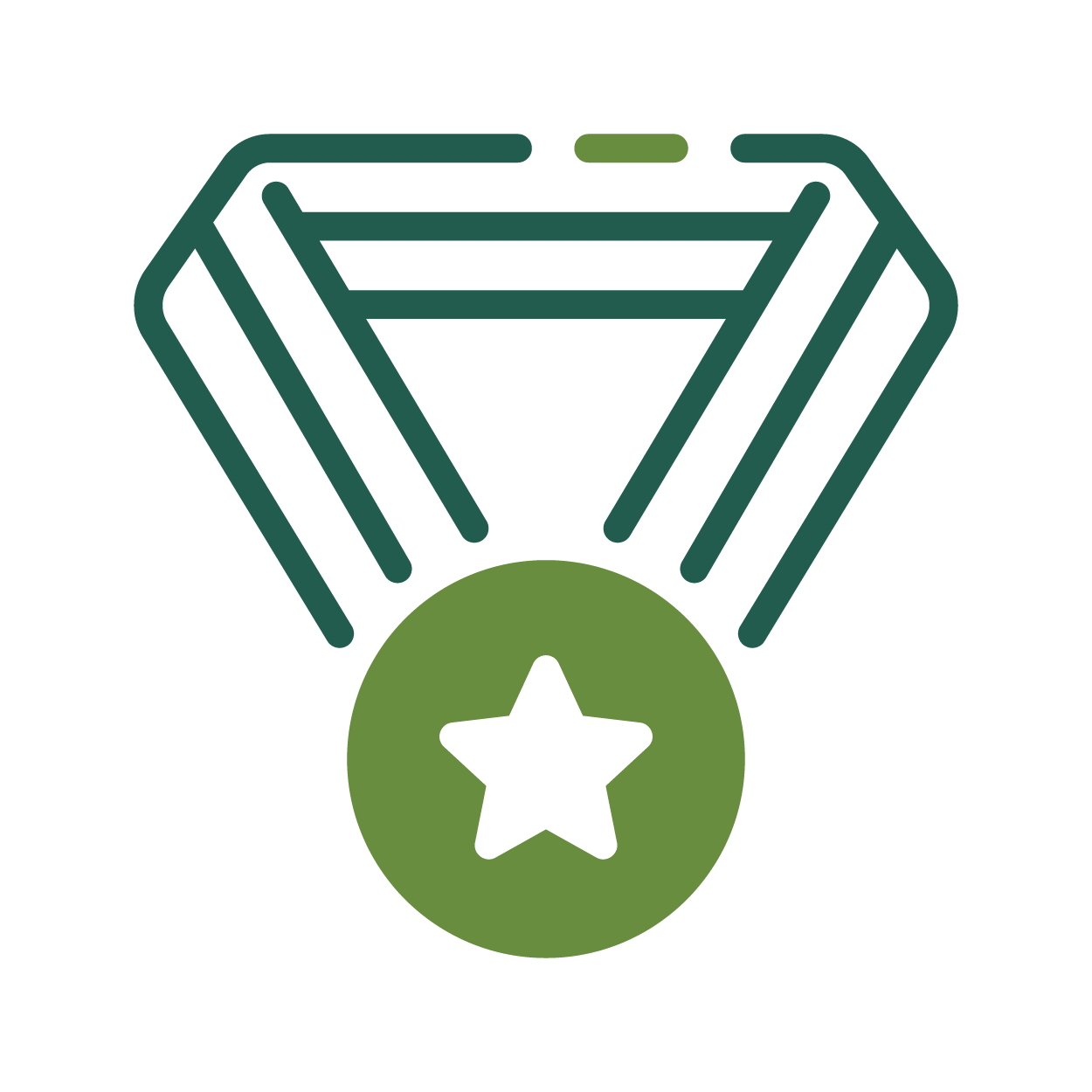 Graphic of a green medal with a star on a ribbon.