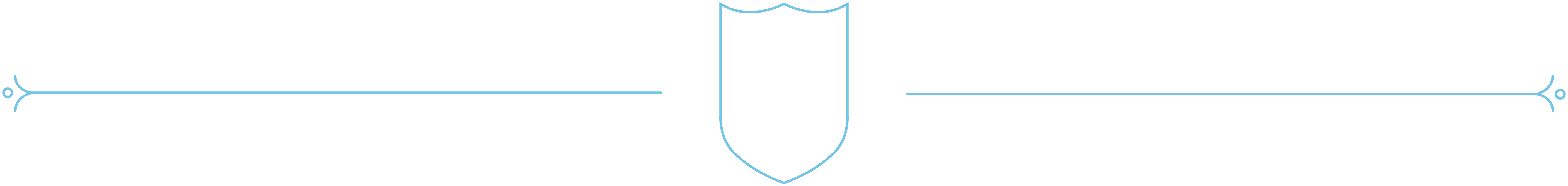 Tulane University shield divider